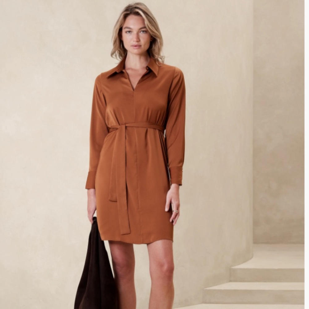 Banana Republic Factory Dress, Size Petite XXS
